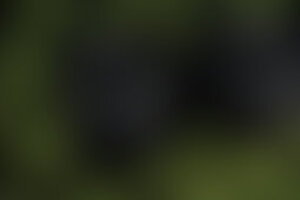 Фотография квеста Сар Квест - тест от компании Сар Квест - тест (Фото 1)