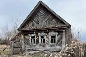 Колыбель кошмаров