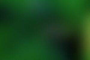 Фотография перформанса Дом ужасов "Фантом" от компании Residence of Horror (Фото 4)