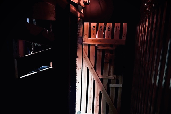 Дом одержимых