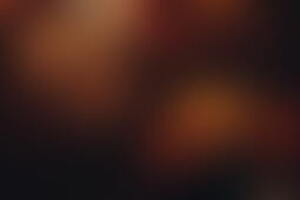 Фотография перформанса Последняя пьеса от компании Residence of Horror (Фото 2)