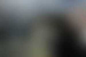 Фотография VR-квеста Delete19036 от компании Delete (Фото 2)