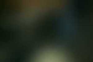 Фотография VR-квеста Delete19037 от компании Delete (Фото 1)