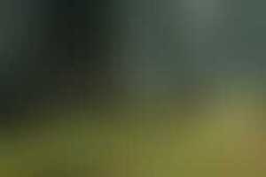 Фотография VR-квеста Delete19038 от компании Delete (Фото 1)