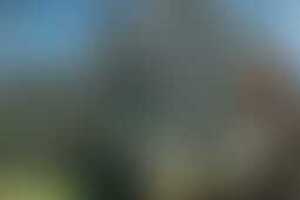 Фотография VR-квеста Delete19040 от компании Delete (Фото 1)