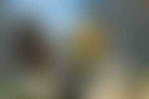 Фотография VR-квеста Delete19040 от компании Delete (Фото 2)