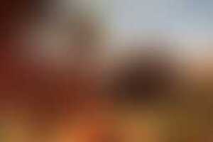 Фотография VR-квеста Delete19041 от компании Delete (Фото 1)