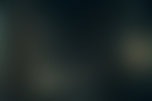 Фотография перформанса Приют от компании Quest Stars/LOCKation (Фото 4)