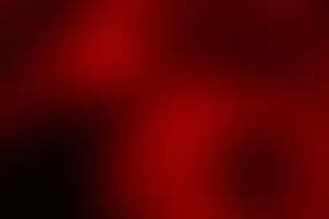 Фотография перформанса Инсания от компании Безумие (Фото 3)