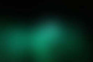 Фотография перформанса Инсания от компании Безумие (Фото 4)