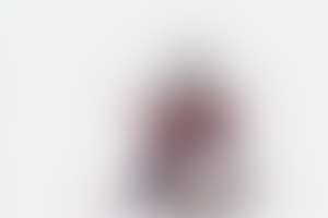 Фотография квеста Спасти пингвина от компании Скучное место (Фото 1)