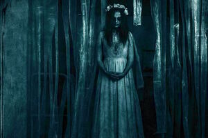 Фотография перформанса Не переходи порог от компании Residence of Horror (Фото 2)