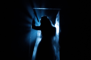 Фотография перформанса Не переходи порог от компании Residence of Horror (Фото 4)