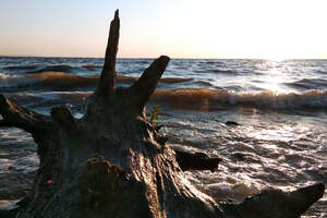 Фотография городского квеста Чтобы уехать из Хвалынска, нужно проснуться от компании Ubego (Фото 1)