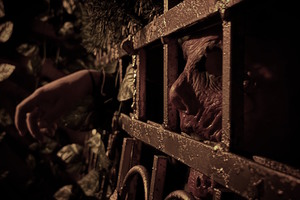 Фотография перформанса Дом последнего заклинания от компании Ghost Project (Фото 3)