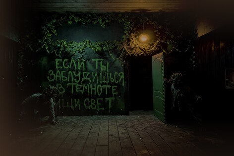 The Last of Us