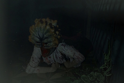 The Last of Us