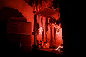 Фотография перформанса Дом Фредди от компании Замки (Фото 3)