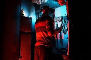 Фотография перформанса Дом Фредди от компании Замки (Фото 5)