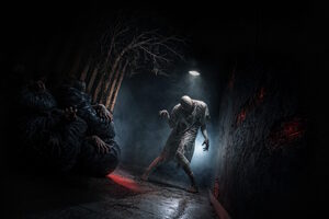 Фотография перформанса Phasmophobia от компании Imaginarium (Фото 2)