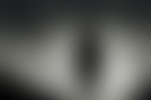 Фотография перформанса Каннибал от компании Phantom (Фото 1)