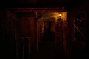 Фотография перформанса Колыбель кошмаров: новая история от компании Безумие (Фото 3)
